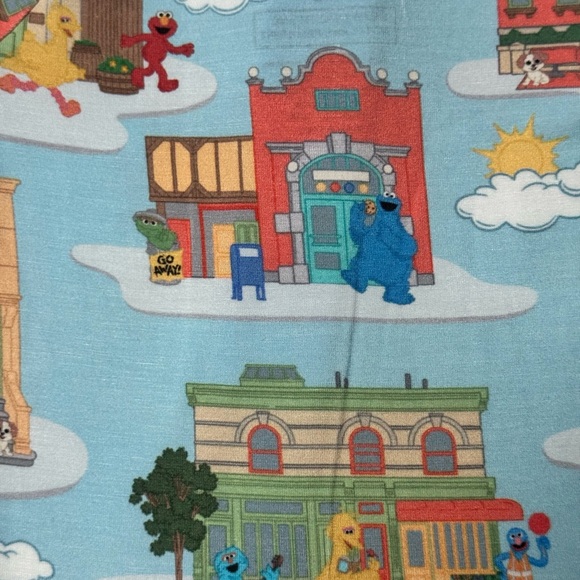 Vibrant Bundle of Joy Sesame Street Bamboo Zippy - Picture 3 of 5